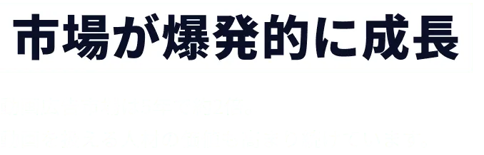市場が爆発的に成長
